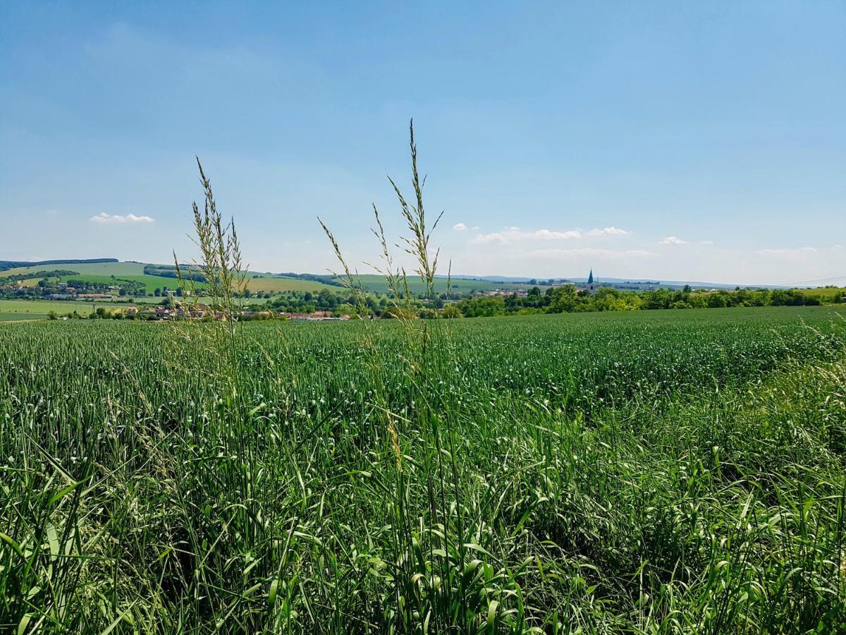 Ubytovani Ve Vinarstvi Medek | Medek House & Winery Uherské Hradiště Kültér fotó