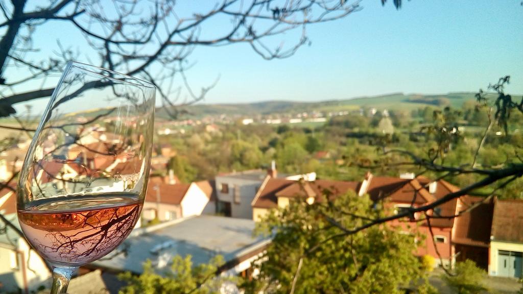 Ubytovani Ve Vinarstvi Medek | Medek House & Winery Uherské Hradiště Kültér fotó