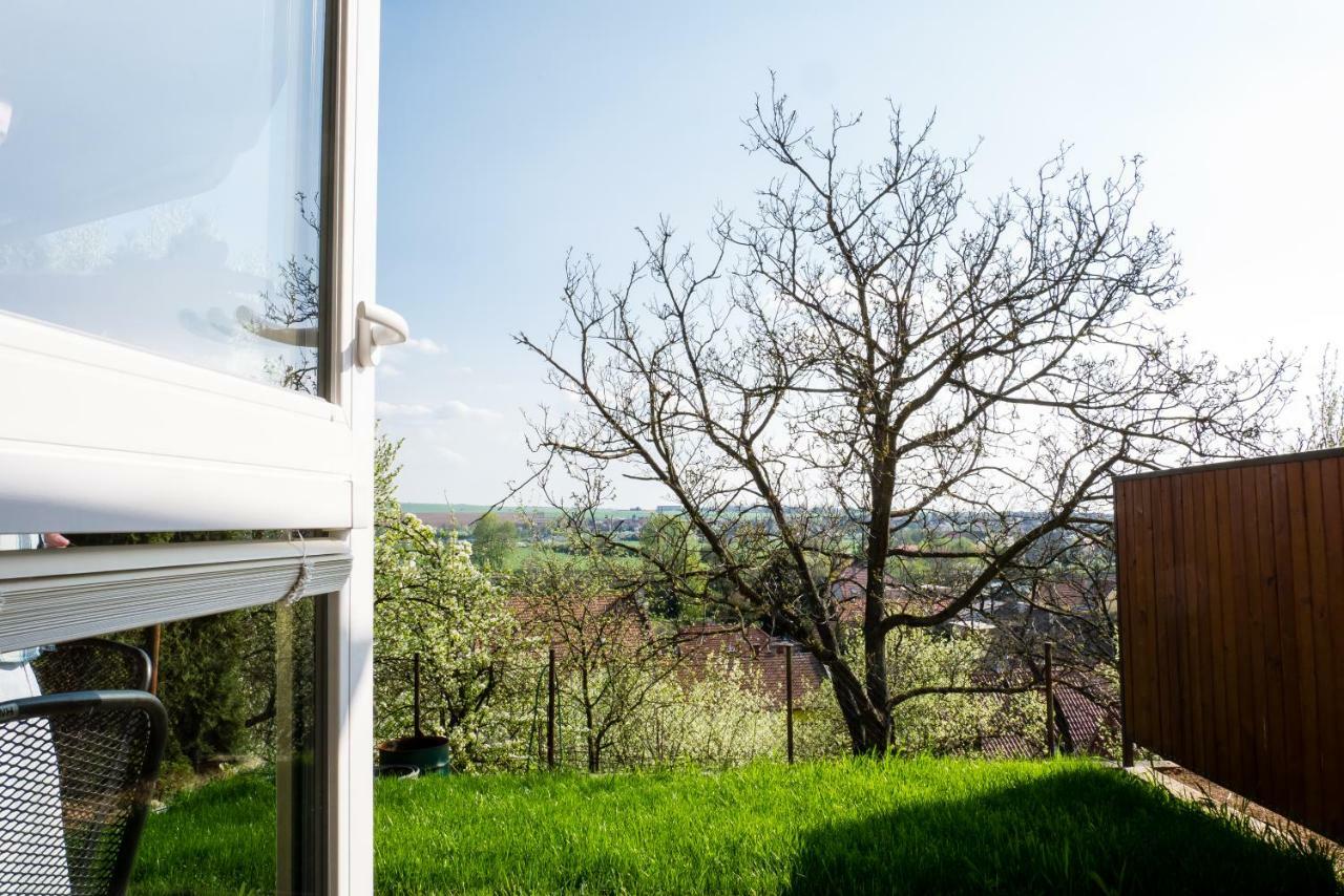 Ubytovani Ve Vinarstvi Medek | Medek House & Winery Uherské Hradiště Kültér fotó