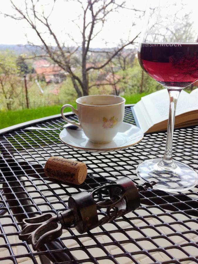 Ubytovani Ve Vinarstvi Medek | Medek House & Winery Uherské Hradiště Kültér fotó